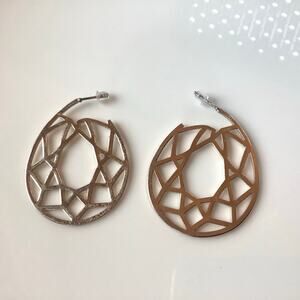 Charlotte Daniel Web Earrings